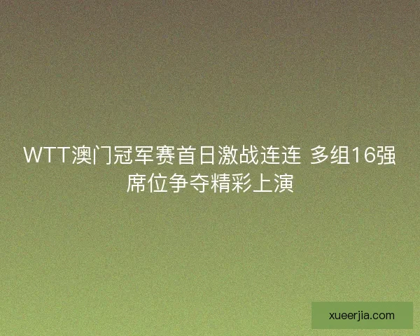 WTT澳门冠军赛首日激战连连 多组16强席位争夺精彩上演 WTT澳门冠军赛首日激战连连 多组16强席位争夺精彩上演